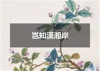 "岂知潇湘岸"的全诗出处及翻译赏析